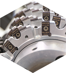 野生食用菌 牛肝菌2